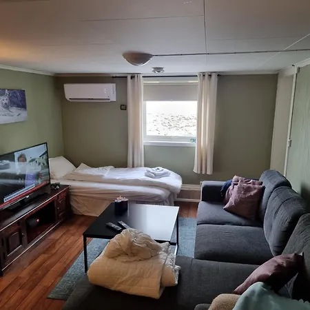 Kjellerleilighet Egen Inngang. شقة